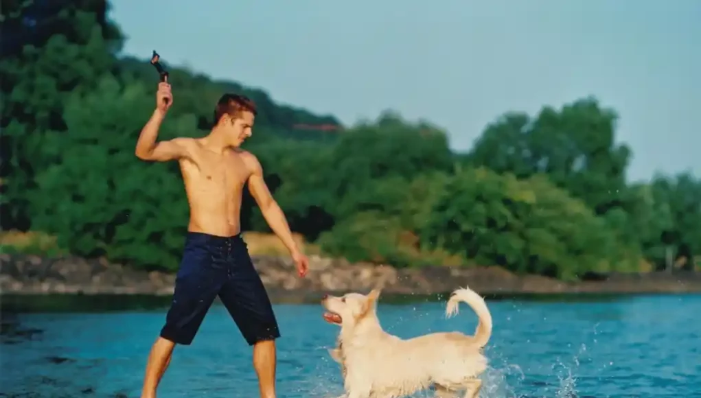 IVH - Junger Mann mit Hund am Strand