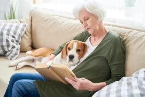 IVH - Seniorin mit Hund