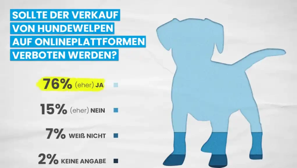 PETA - Gegen den Online-Verkauf von Hundewelpen