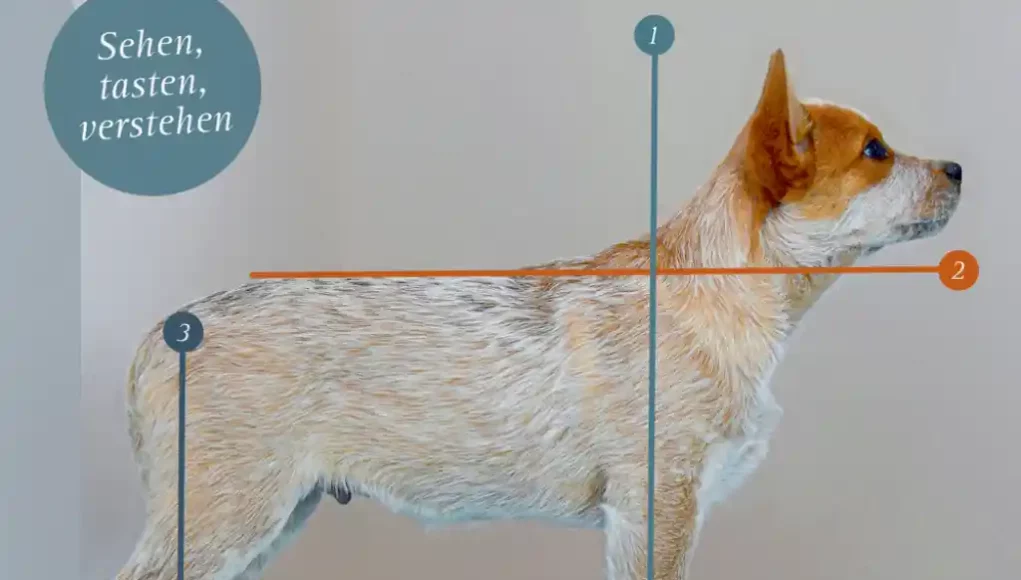 Buch Welpentest und Hundeanalyse