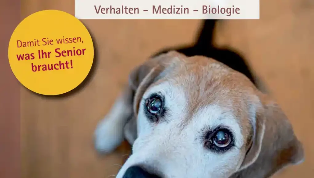 Der alternde Hund - Verhalten - Medizin - Biologie