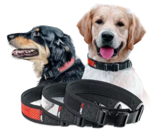 Feuerwear - Hunde-Halsband Timmy