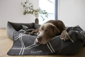 PALOPA Hundebett Fred