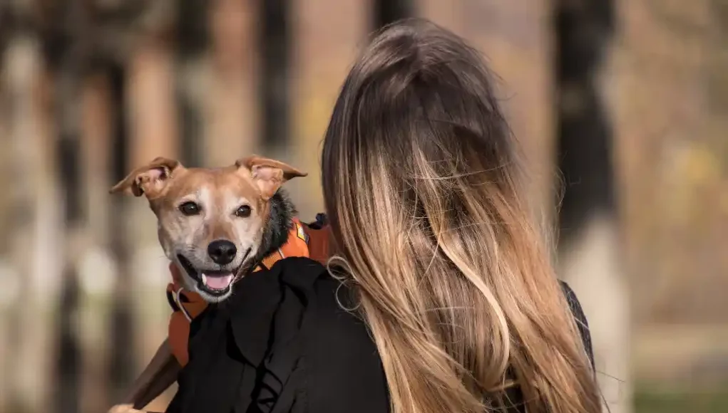 Frau mit Hund