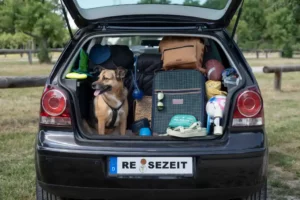 Reisen mit dem Hund