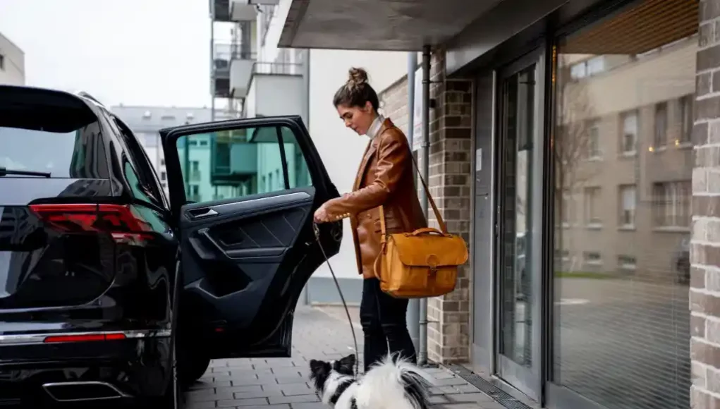 Hund im Auto