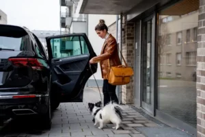 Hund im Auto