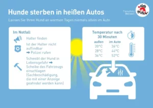 Hunde sterben in heissen Autos