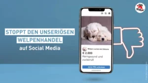 Stoppt den unseriösen Welpenhandel auf Social Media_c Vier Pfogen