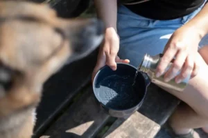 Tiere zum Trinken animieren