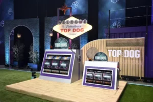 Top Dog Germany - Parcours in Runde 2