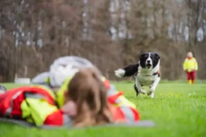 Rettungshundestaffel des ASB Oberschwaben-Nord