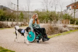 Mobilitätsassistenzhunde: Hilfe ohne Mitleid und Erwartungen