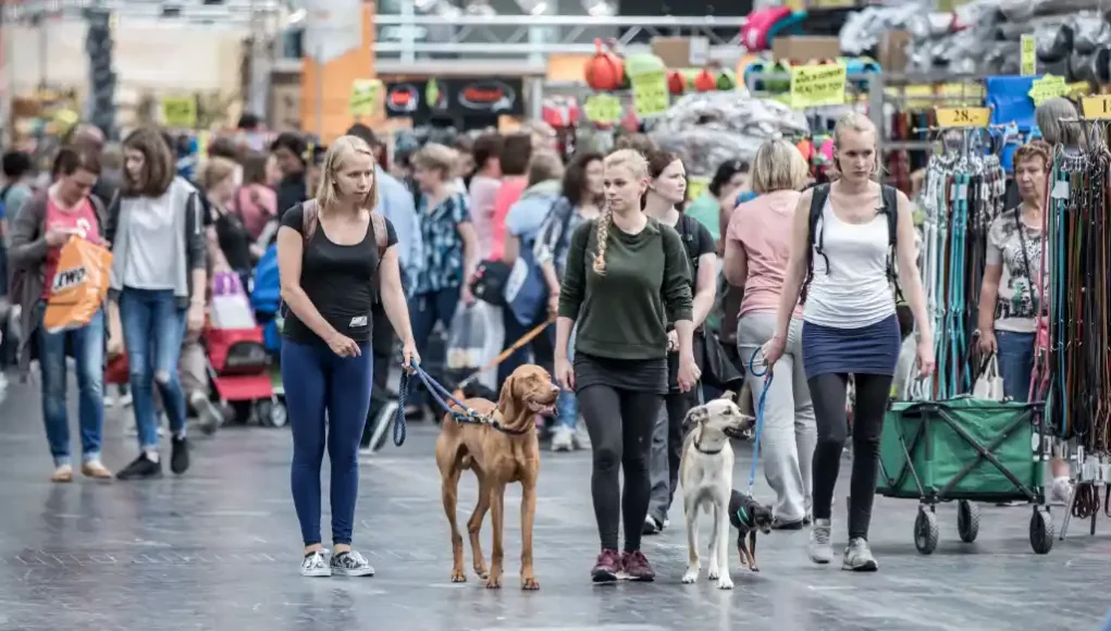 PFOTENLIEBE: Die neue Hundemesse im Rahmen der PASSION PFERD