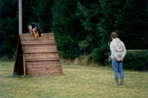 Rocco und Stefan - SV-Rheinböllen