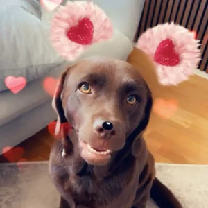 SnapChat - Heart Ears Lens