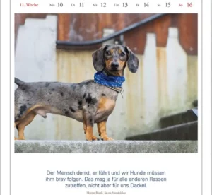 ars vivendi - Literarischer Hunde-Kalender 2025