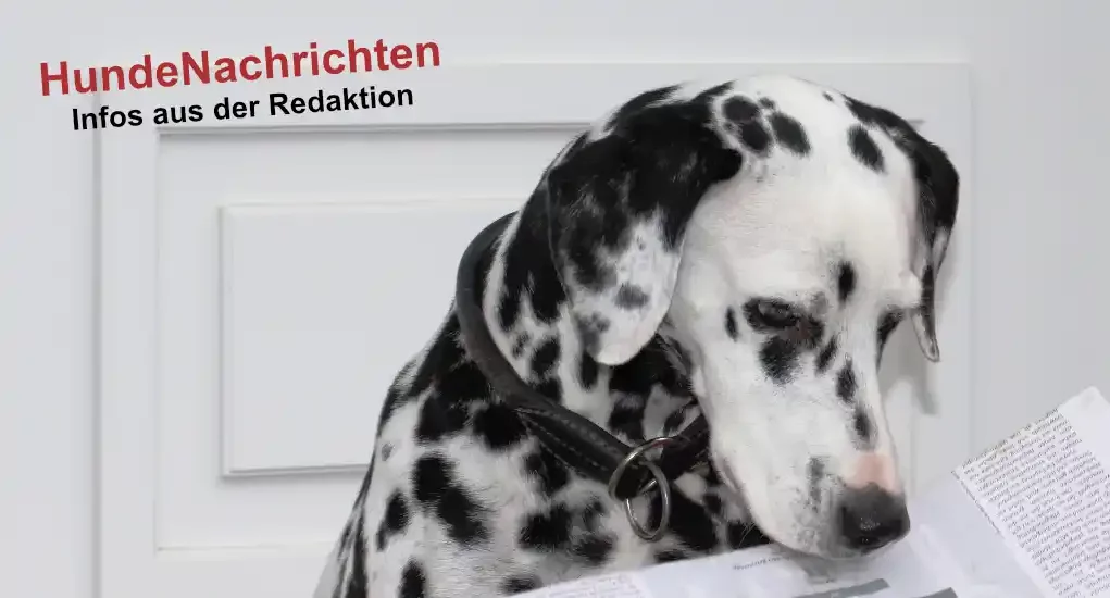 Infos aus der HundeNachrichten-Redaktion