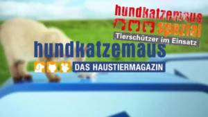 hundkatzemaus Spezial – Wir tun was!