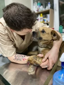 Tierrettung in der Ukraine