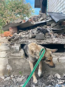 Tierrettung an der Front in der Ukraine