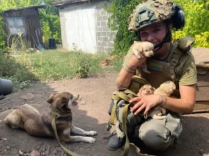 Tierrettung an der Front in der Ukraine