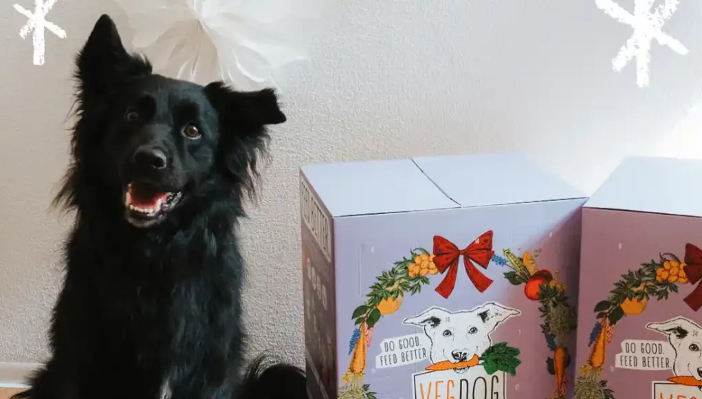 VEGDOG Adventskalender 2024