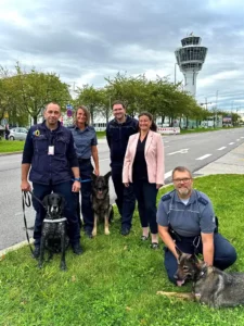 Neue Zollspürhunde am Münchner Flughafen