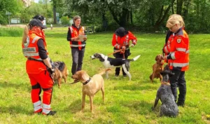 BRH-Rettungshundestaffel Main-Kinzig