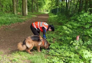 BRH-Rettungshundestaffel Main-Kinzig