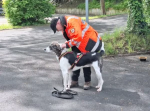 BRH-Rettungshundestaffel Main-Kinzig