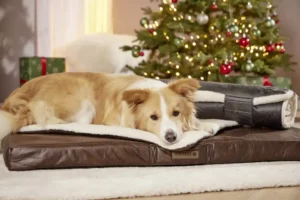 WOLTERS - X-Mas Hundematratze Vagabund