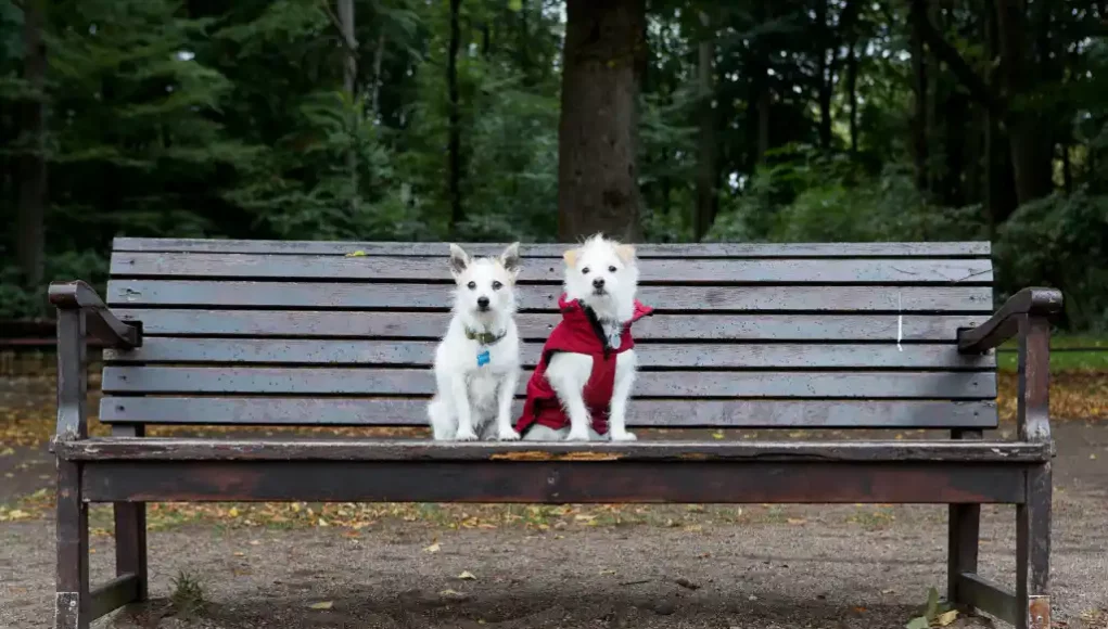 Zeitumstellung und dunkle Jahreszeit