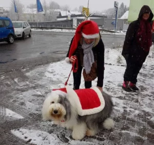 Hundeweihnachtsmarkt in Limburg-Niederzeuzheim